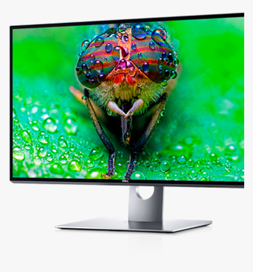 Dell 8k Monitor, HD Png Download, Free Download