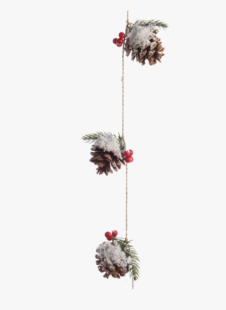 Pinecone Garland With Berries And Snow - Oregon Pine, HD Png Download, Free Download