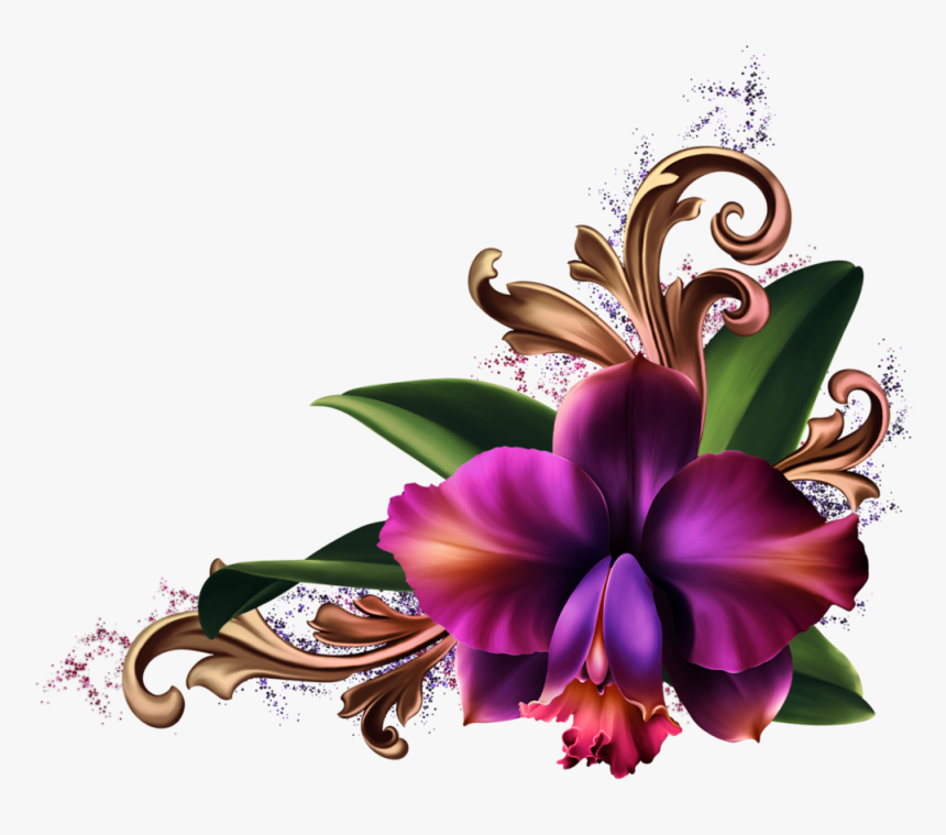 Romantic Orchids Borders And Frames, Flower Art, Dividers, - Orchid And Lily Floral Border Png, Transparent Png, Free Download