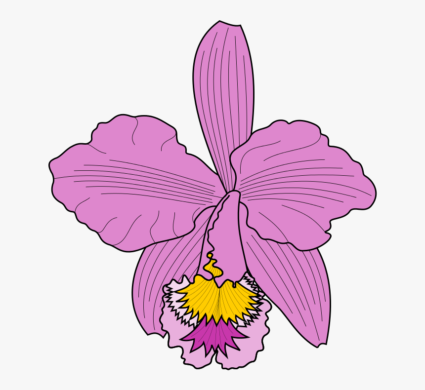 Petal Clipart Cattleya Orchids Moth Orchids - Cattleya Trianae Icon, HD Png Download, Free Download