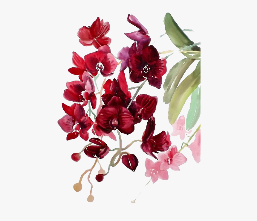 Orchid Transparent Watercolor - Red Flowers Watercolor Png, Png Download, Free Download