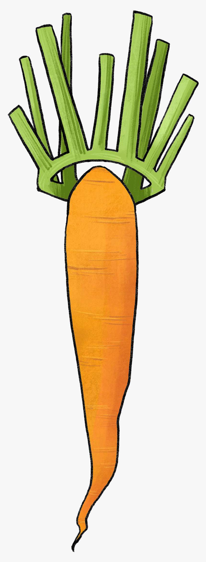 Illustration Of A Carrot With A Leaf Crown - Carrot, HD Png Download, Free Download