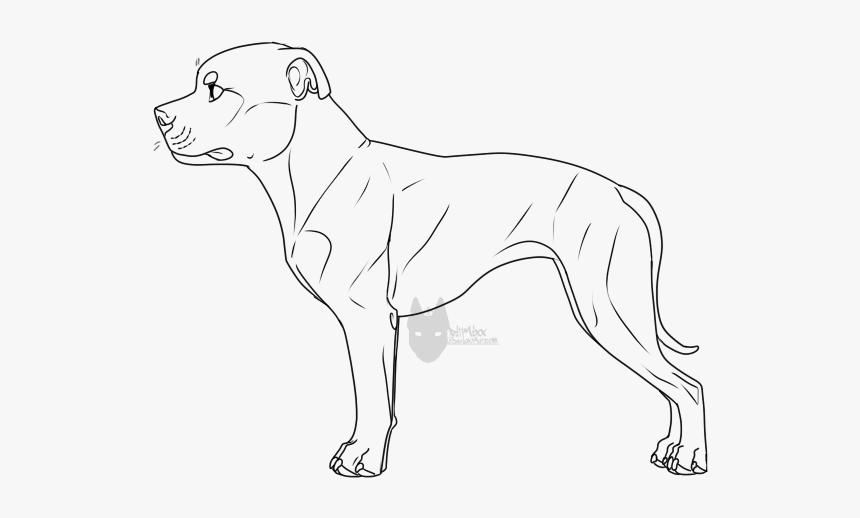 Drawn Pit Bull Staffy - Staffordshire Bull Terrier Drawing, HD Png Download, Free Download