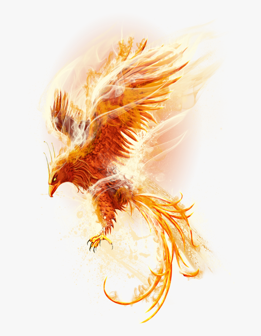 Phoenix Bird Wall Art, HD Png Download, Free Download