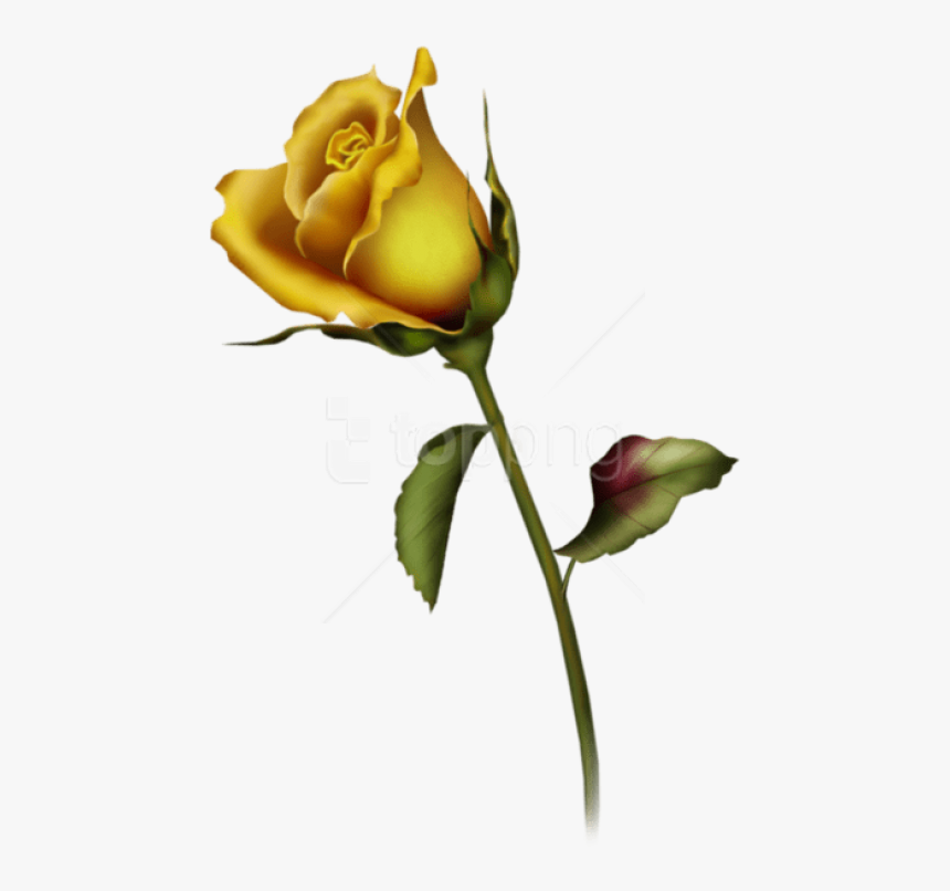 Transparent Rose Bud Png - Single Yellow Rose Tattoo, Png Download, Free Download