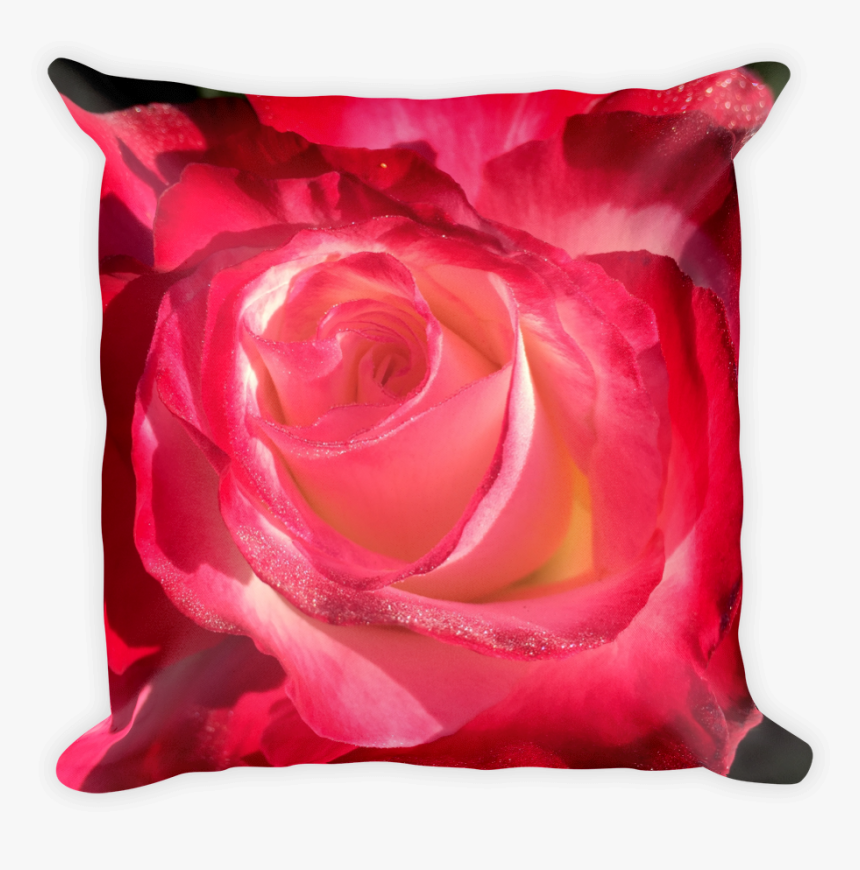 Image Of Rose Bud Pillow - Garden Roses, HD Png Download, Free Download