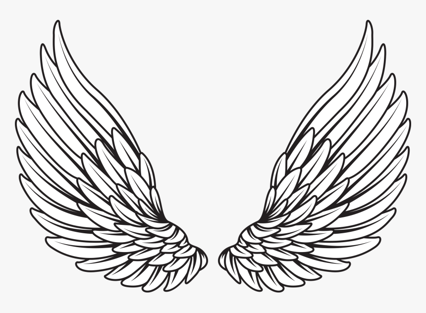 Angel Wings Svg Vector