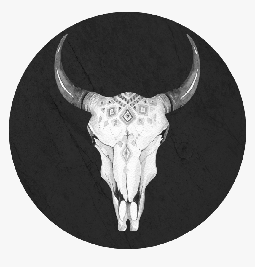 Transparent Bull Skull Png - Placa De Transito Proibido Estacionar, Png Download, Free Download