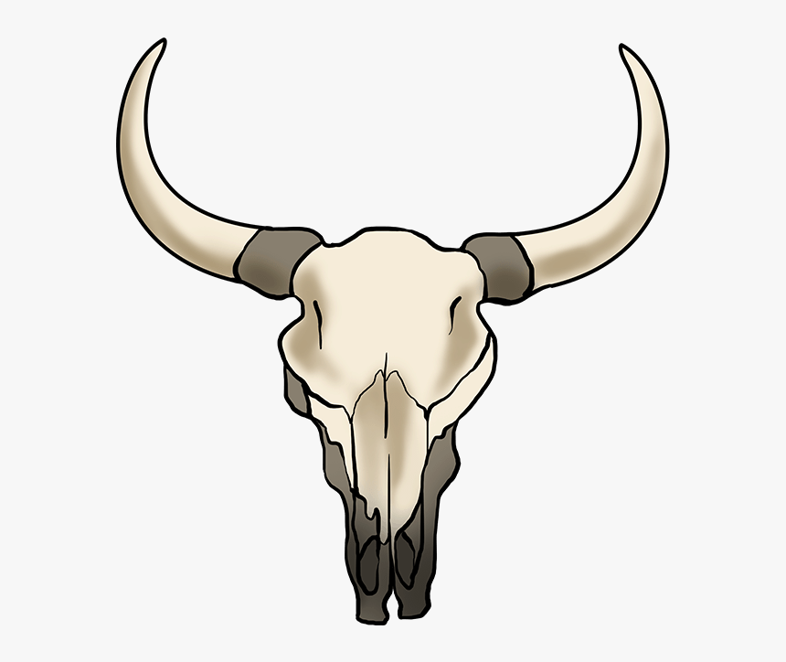 How To Draw Bull Skull - Easy Cow Skull Drawing, HD Png Download, Free Download