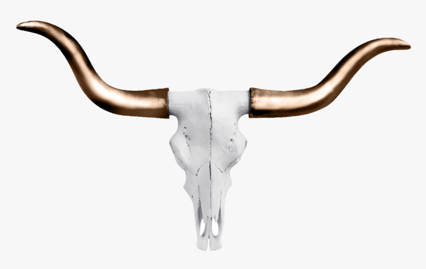 Mini Faux Texas Longhorn Cow Skull Wall Hanging Sculpture - Cow Horns Png Gold, Transparent Png, Free Download