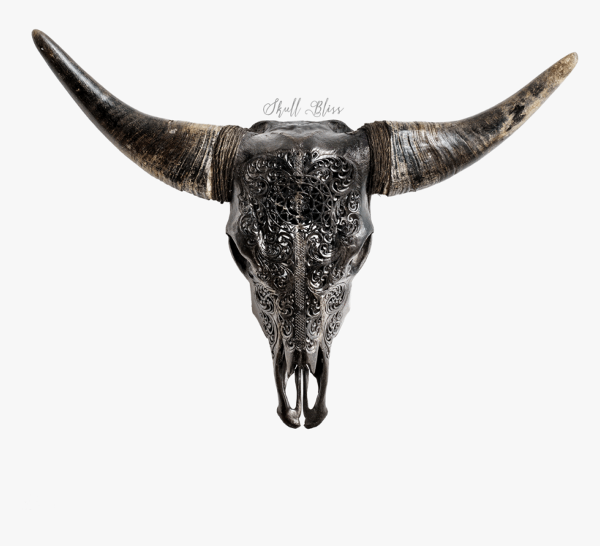 Bull, HD Png Download, Free Download