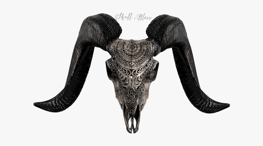 Carved Ram Skull - Horn, HD Png Download, Free Download