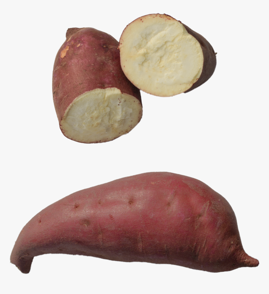 The Murasaki Sweet Potato, HD Png Download, Free Download