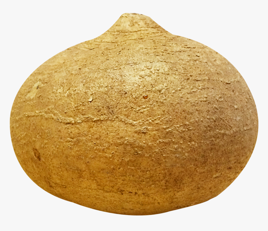 Potato Clipart Yam - Jicama Png, Transparent Png, Free Download