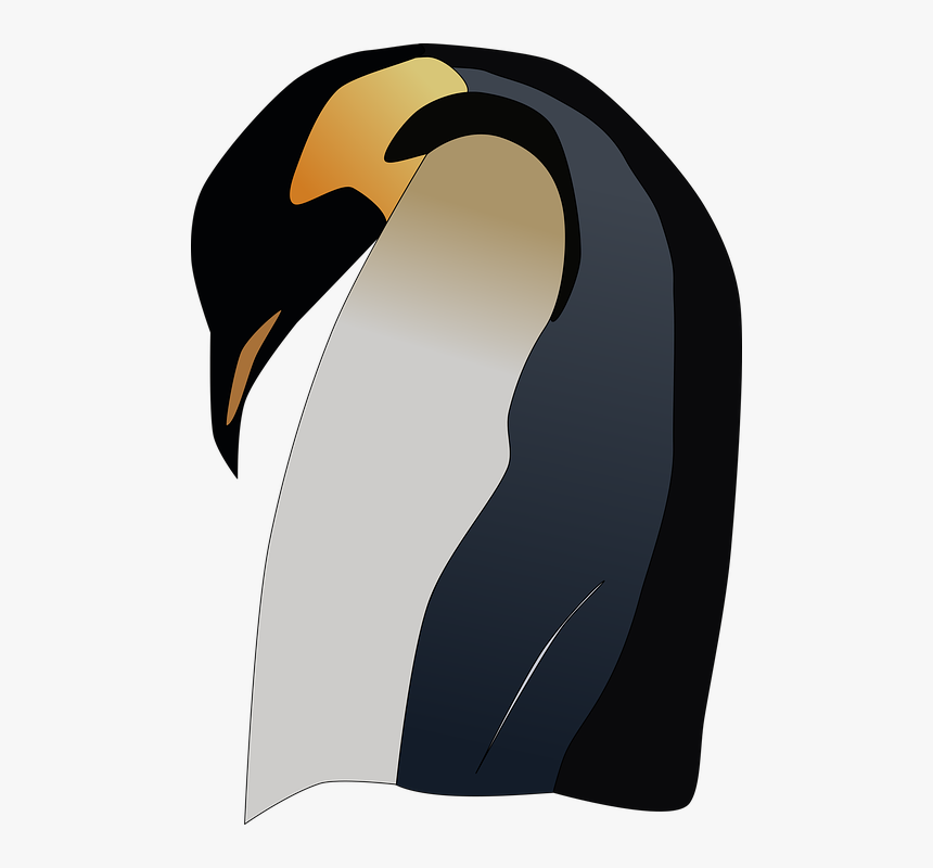 Penguin, Emperor, Antarctica, Polar, Wilderness, Wild, HD Png Download, Free Download