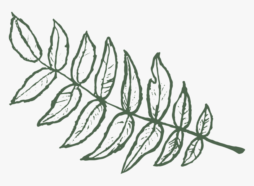 Lhl - Leaf - Instaleft - Drawing, HD Png Download, Free Download