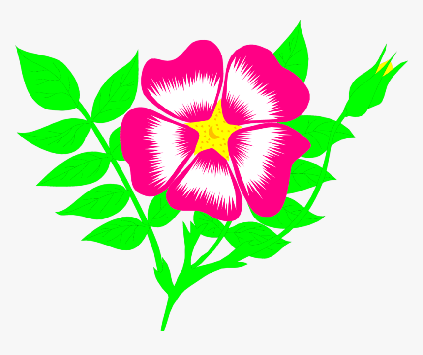 Free Illustrations Download Clip - Flower Animation Png, Transparent Png, Free Download