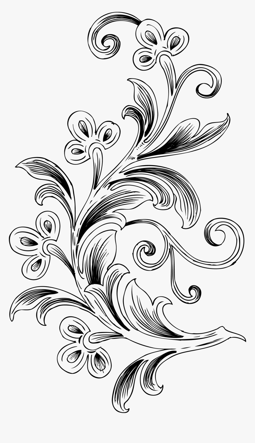 Free Floral Vector, HD Png Download, Free Download
