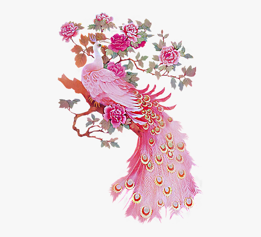Peacock Clipart Pink, HD Png Download, Free Download