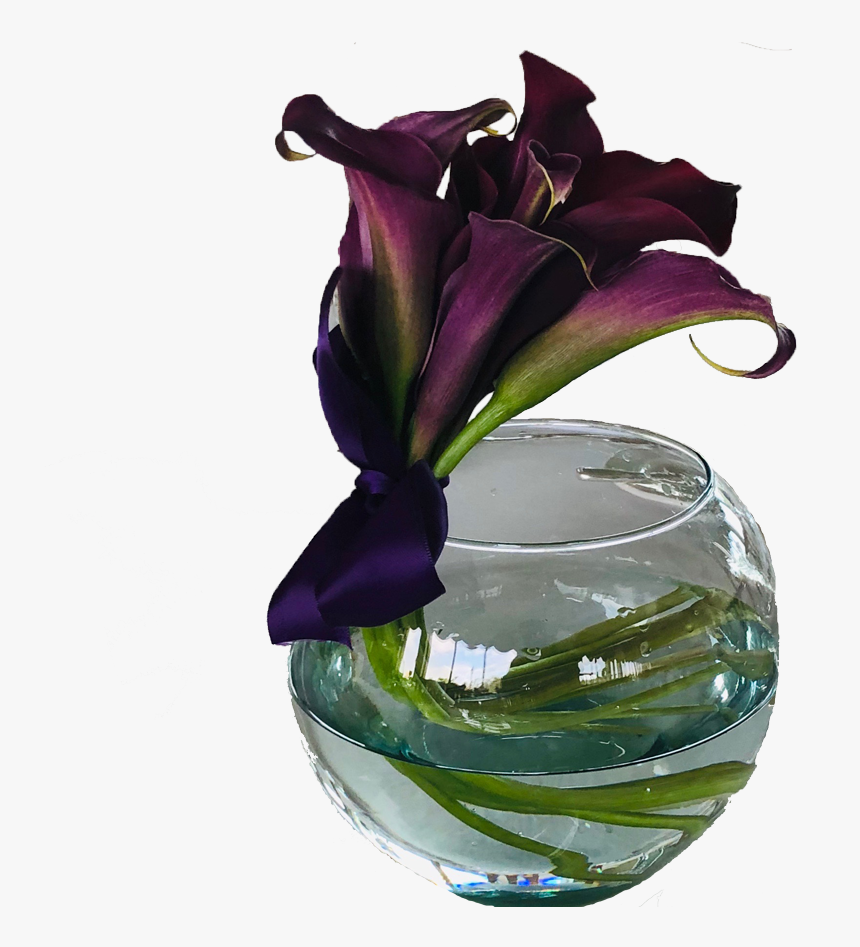 Modern Sophistication"
 Class= - Vase, HD Png Download, Free Download