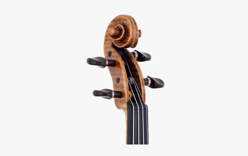 Double Bass, HD Png Download, Free Download