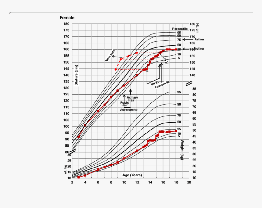 Growth Chart National Center For Health Statistics, HD Png Download, Free Download