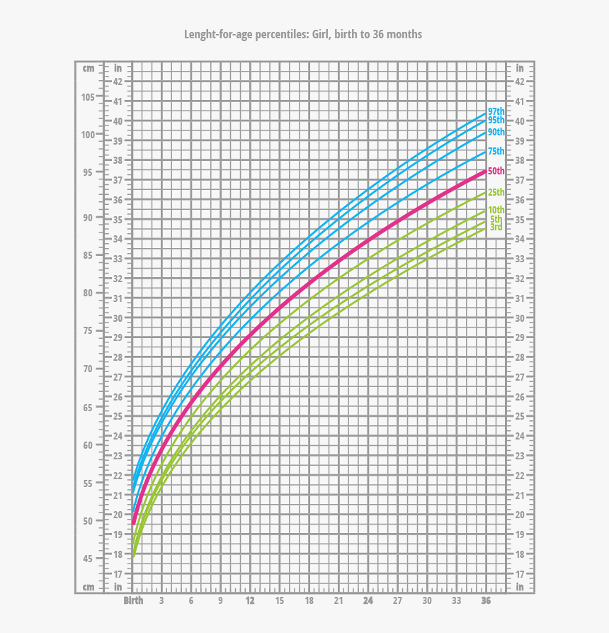 Test - Percentiles, HD Png Download, Free Download