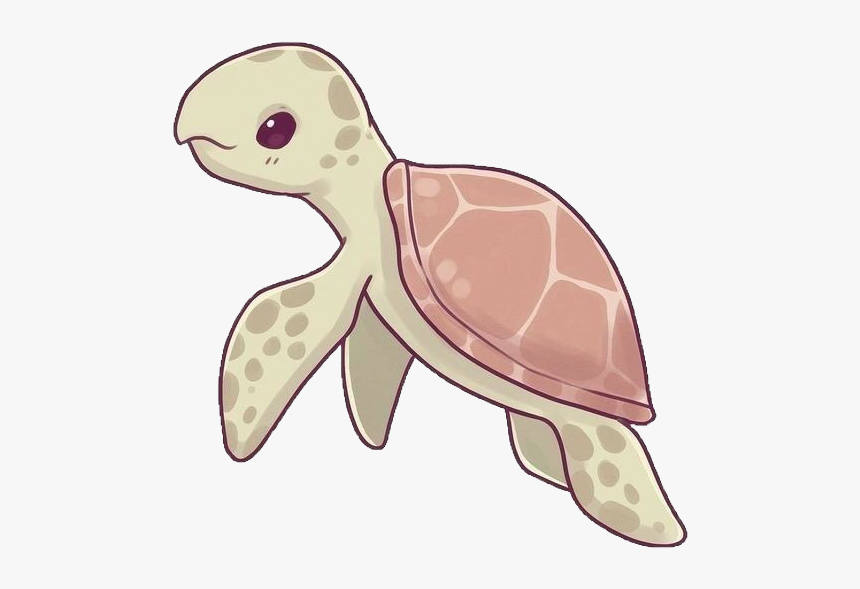 #turtle #sealife #sea #ocean #cute #kawaii #naomilord - Hawksbill Sea Turtle Drawing, HD Png Download, Free Download