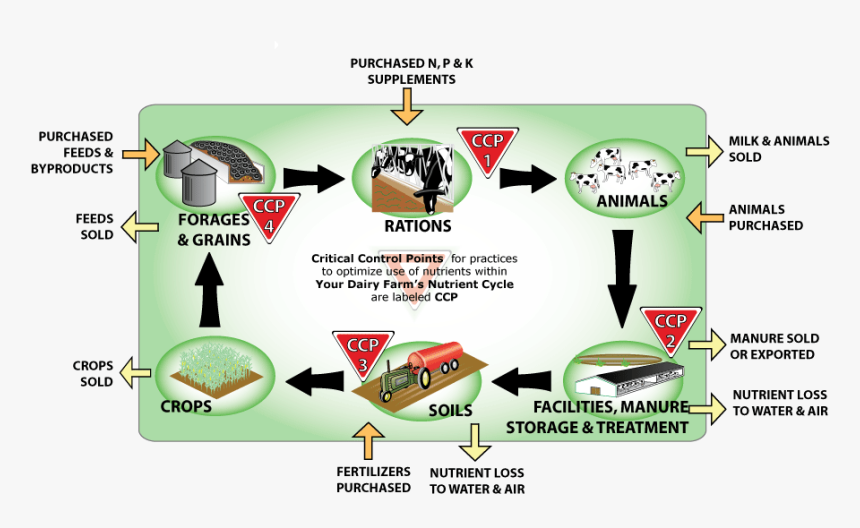 Farm Nutrient Cycle - Cycling Nutrients On A Farm, HD Png Download, Free Download