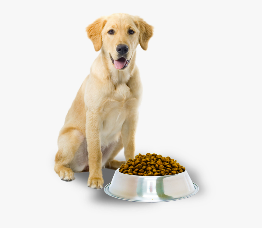 Dog Food Png - Dog With Dog Food, Transparent Png, Free Download