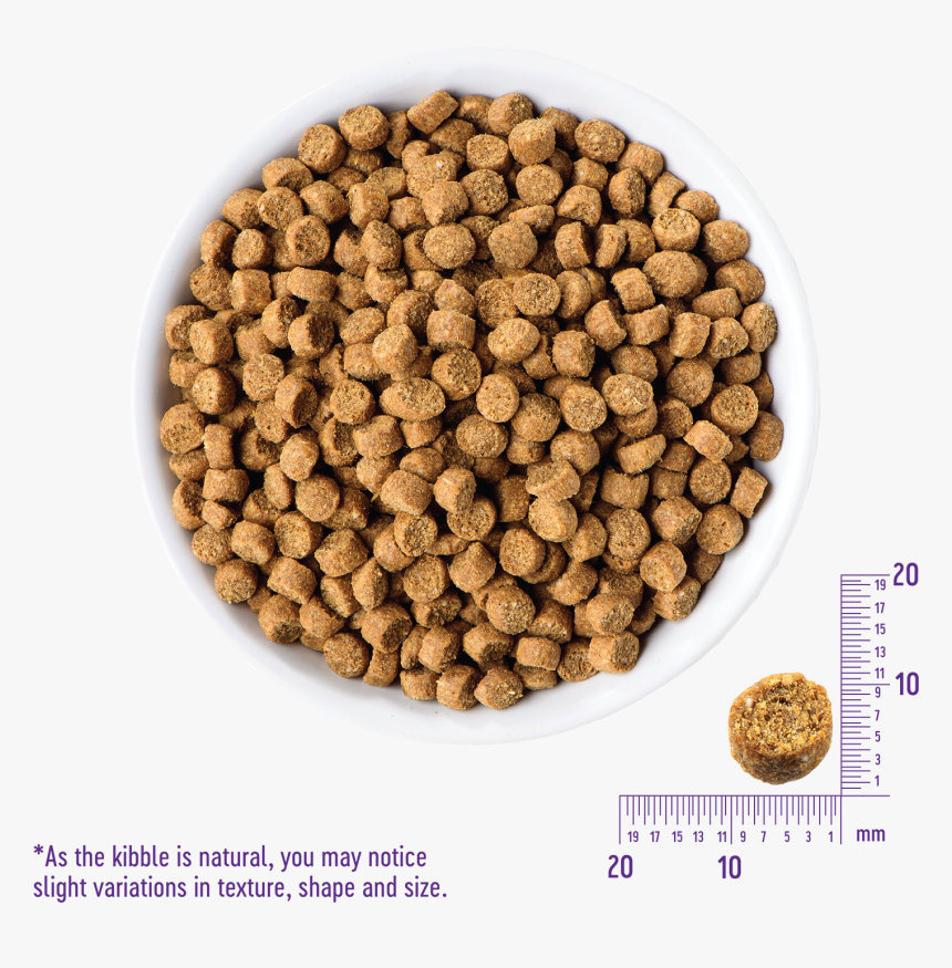 Product Image - Wellness Small Breed Kibble Size, HD Png Download, Free Download