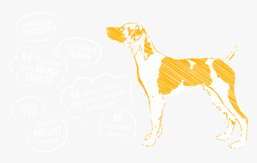 Companion Dog, HD Png Download, Free Download