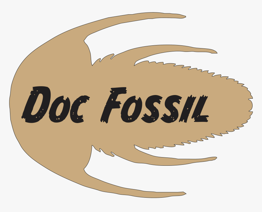 Fossil Logo Png Photo Background - Fossil Logo, Transparent Png, Free Download