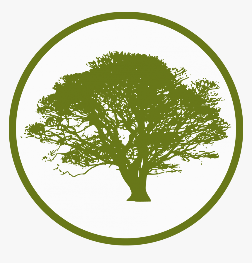 Oak Tree Silhouette Png, Transparent Png, Free Download