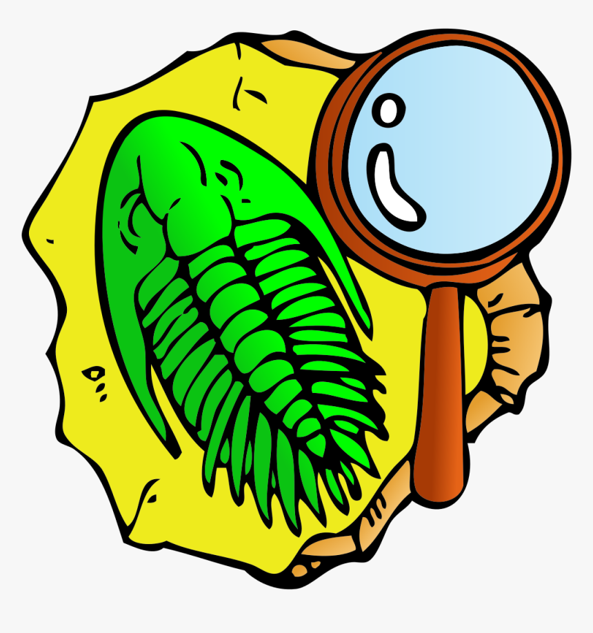 Fossil Clipart Artifact - Fossil Clip Art, HD Png Download, Free Download