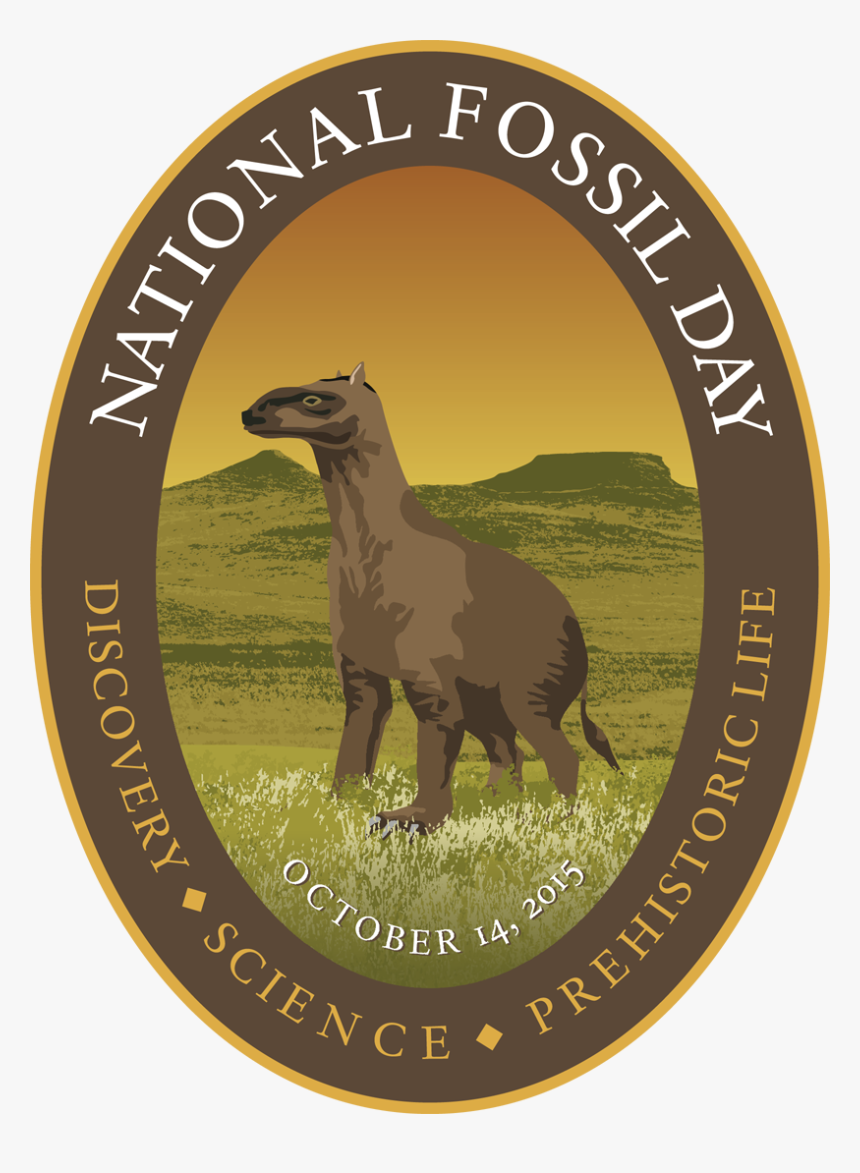 National Fossil Day, HD Png Download, Free Download
