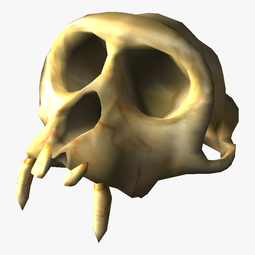 Colossal Fossil 2 - Skull, HD Png Download, Free Download