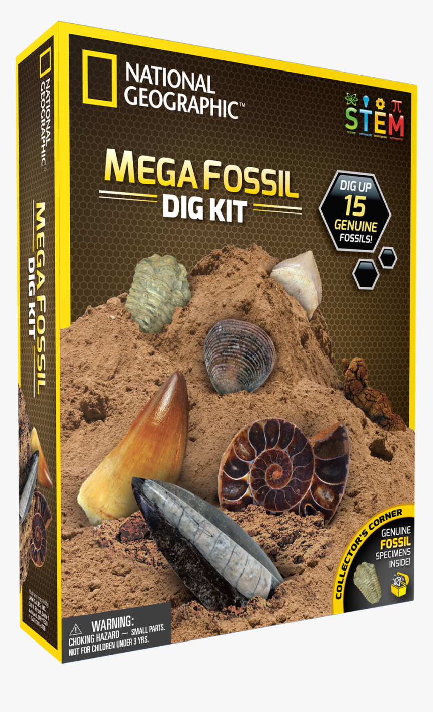 National Geographic Mega Fossil Dig Kit, HD Png Download, Free Download