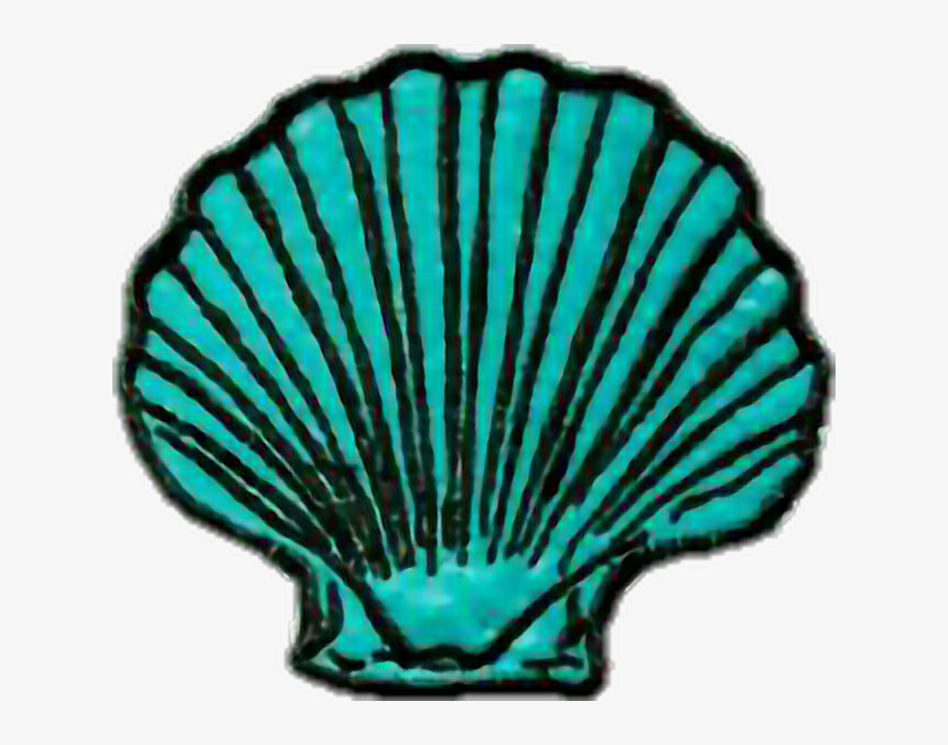 #tumblr #mermaid #marine - Transparent Seashell, HD Png Download, Free Download