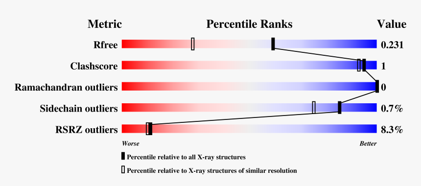 Slope, HD Png Download, Free Download