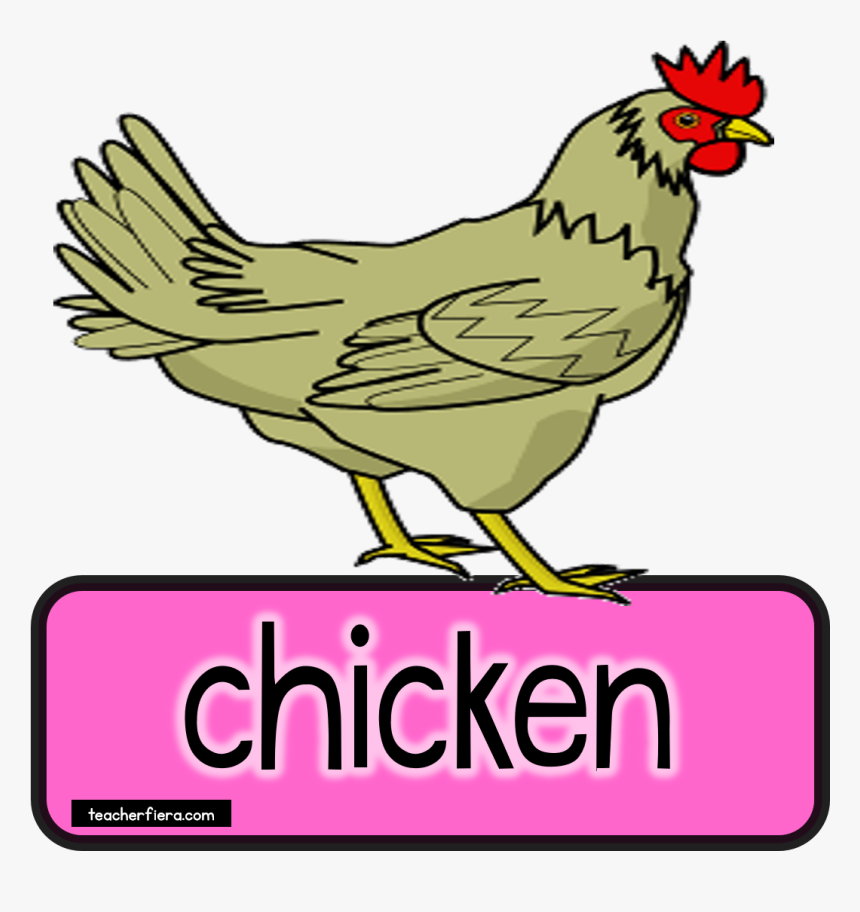 Teacherfiera Com Would Really - Chicken Clip Art, HD Png Download, Free Download