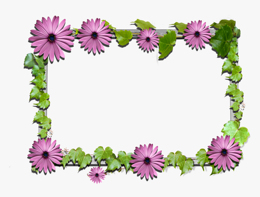 Clip Art Flower Frames Clipart - Flower Frame Png Clipart, Transparent Png, Free Download