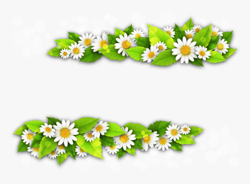 Bunga Chamomile Png, Transparent Png, Free Download