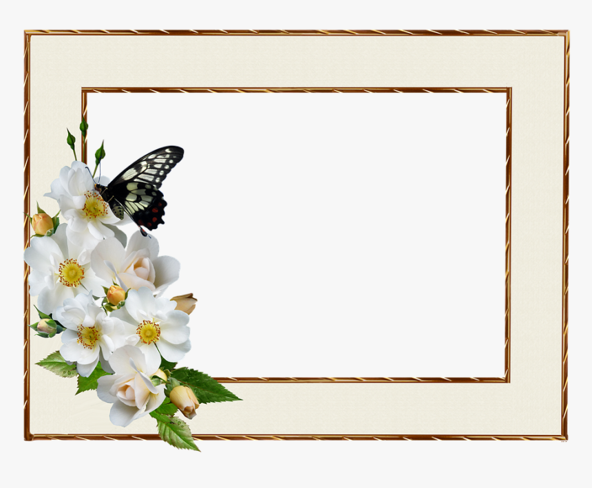 Frame, Border, White Rose, Butterfly, Decorative - Positive Thursday Blessing Quotes, HD Png Download, Free Download