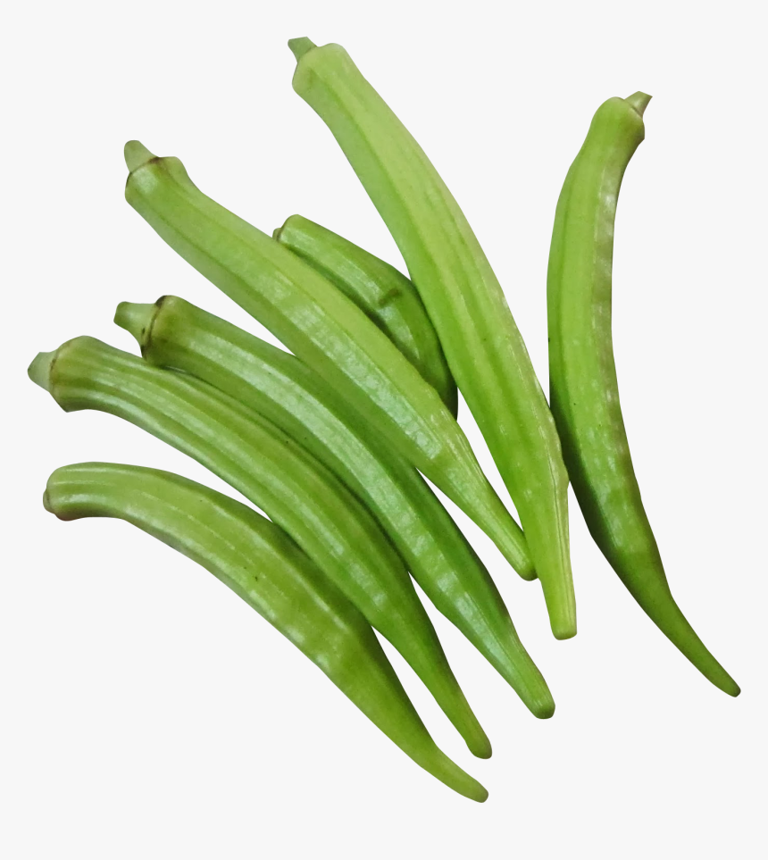 Okra Png, Transparent Png, Free Download