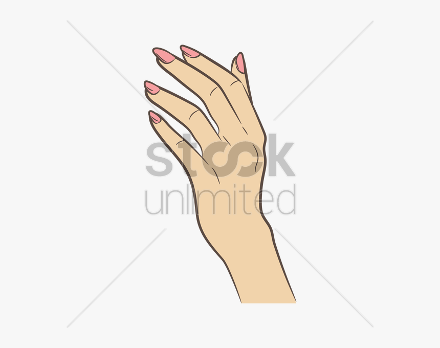 Female Hand Vector Png, Transparent Png, Free Download