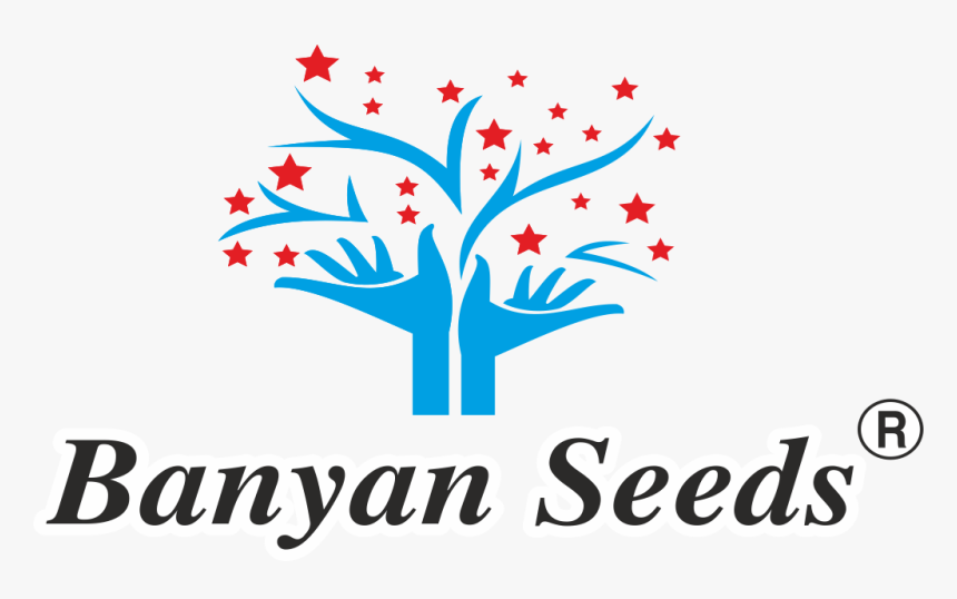 Banyan Seeds, HD Png Download, Free Download
