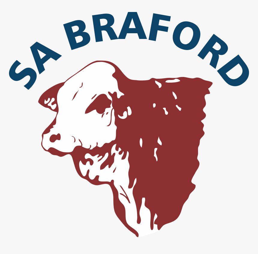 Sa Braford Logo, HD Png Download, Free Download