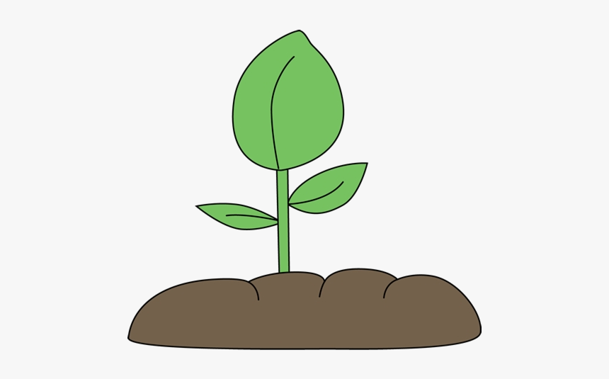 Soil Plant In Clip Art Clipart Free Transparent Png - Plant In Soil Clipart, Png Download, Free Download