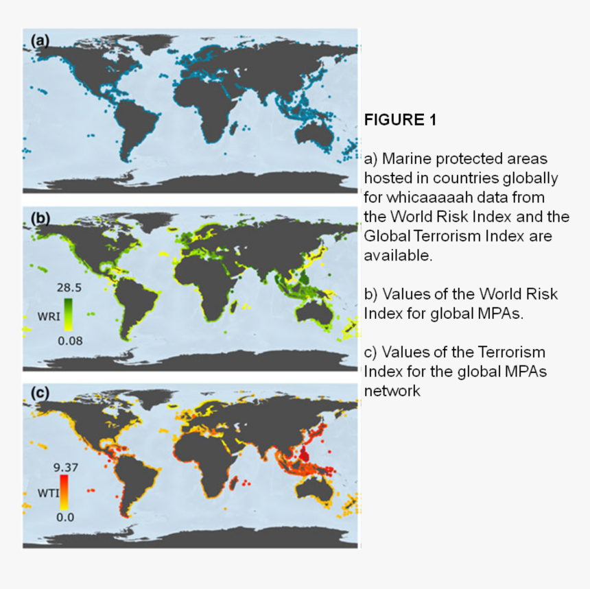 Knock-on Effects Of National Risk Assessments On Conservation - Asian Needle Ant Map, HD Png Download, Free Download